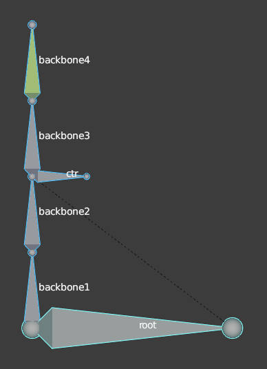 bone hierarchy