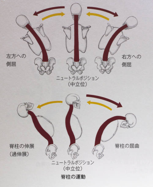 rotation range