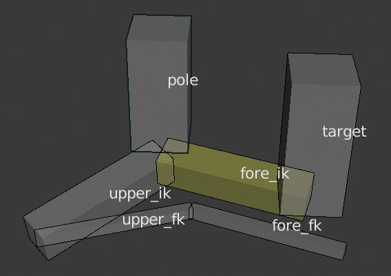 bone hierarchy