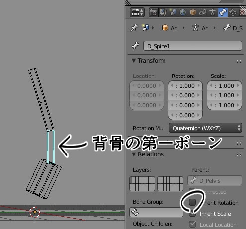 背骨ボーンの設定