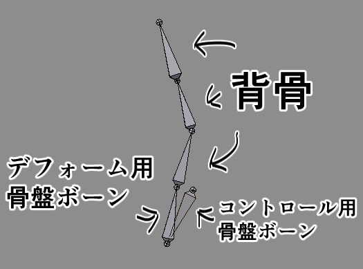 骨盤ボーン図解